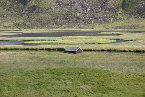 Cabane